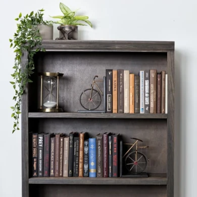 bicycle bookend