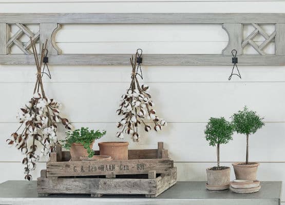 hanging plants kitchen