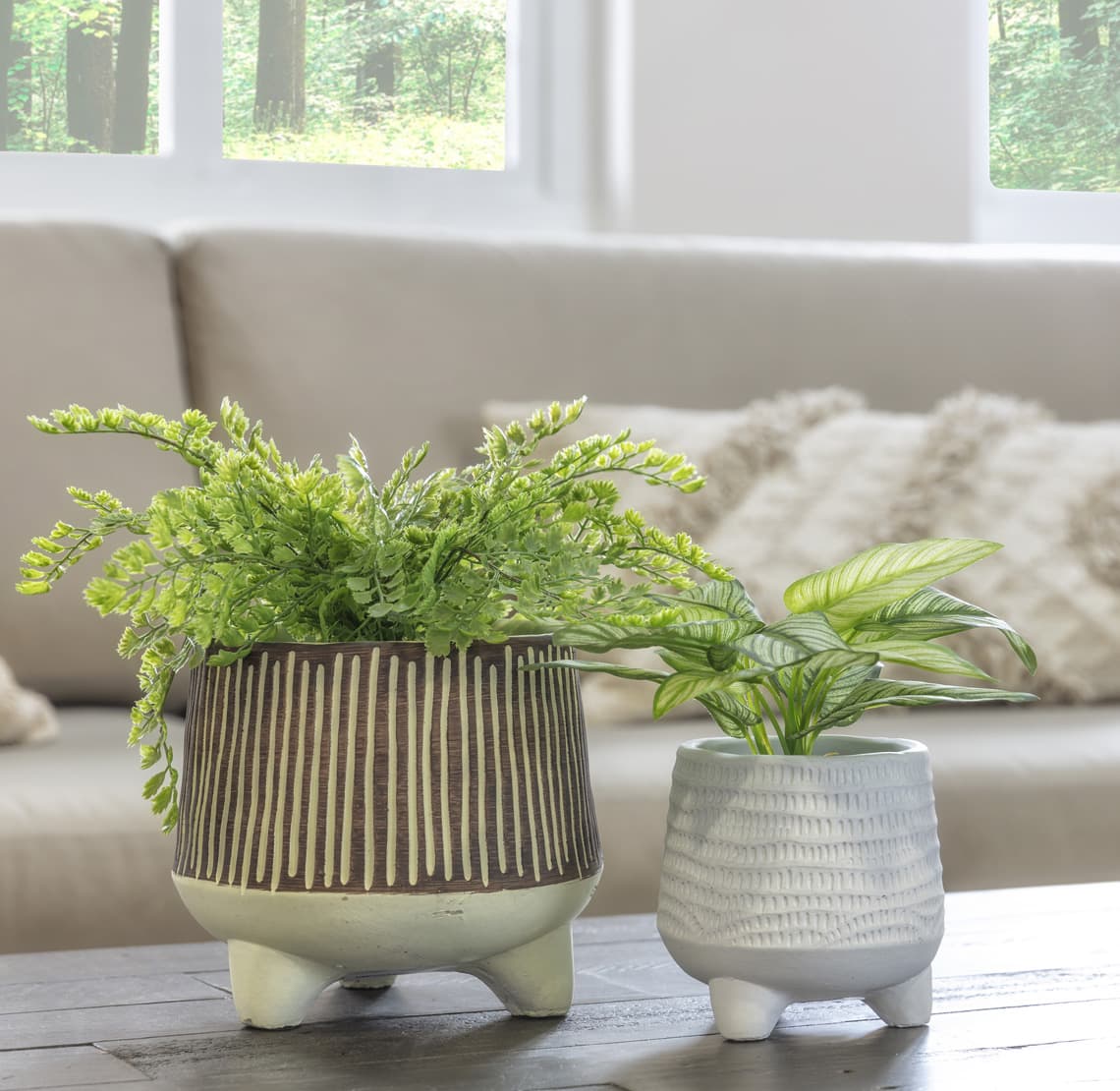 indoor vegetable garden