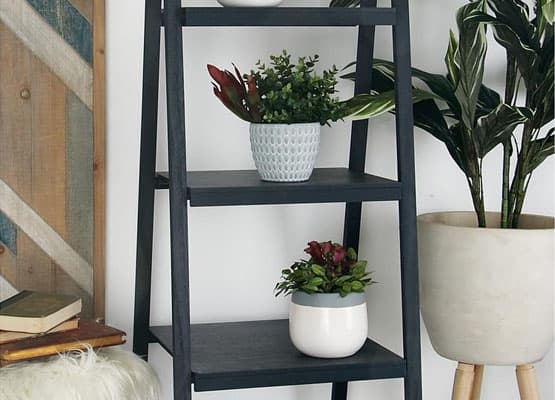 ladder storage ideas