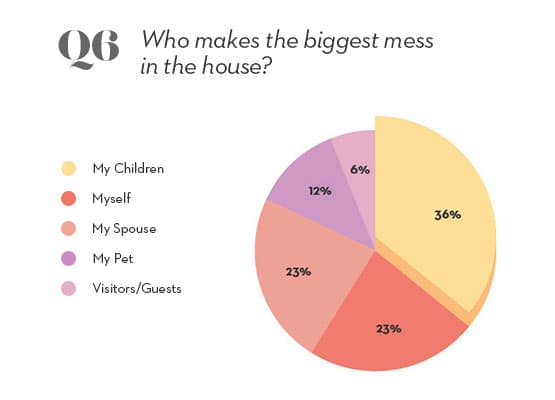 spring cleaning data results