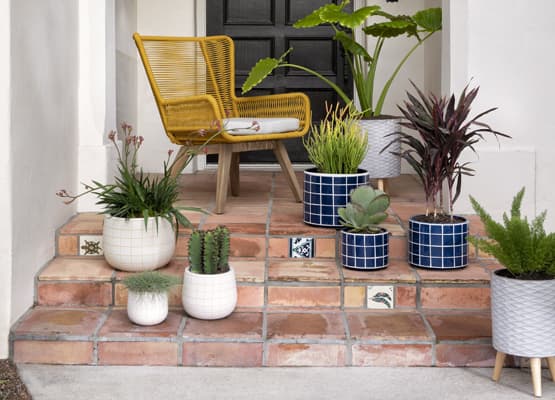 planters ideas for summer