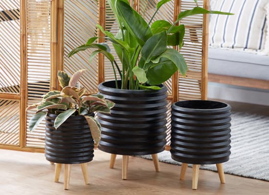 black fall planters