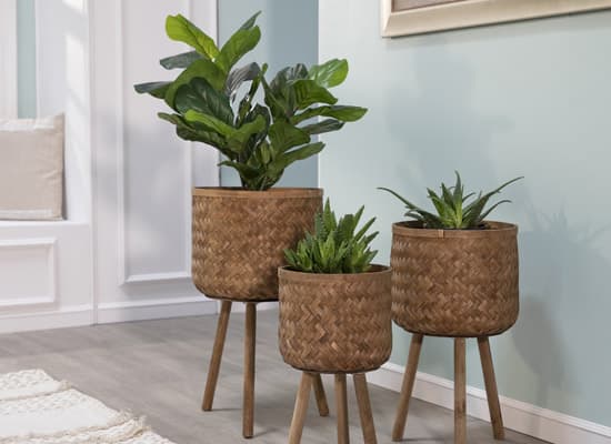 fall bamboo planters