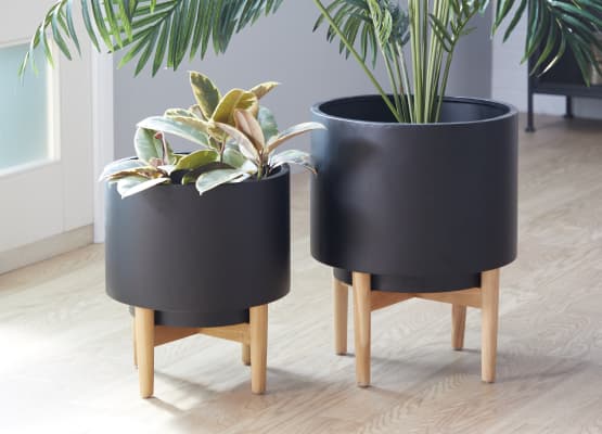 black fall container garden