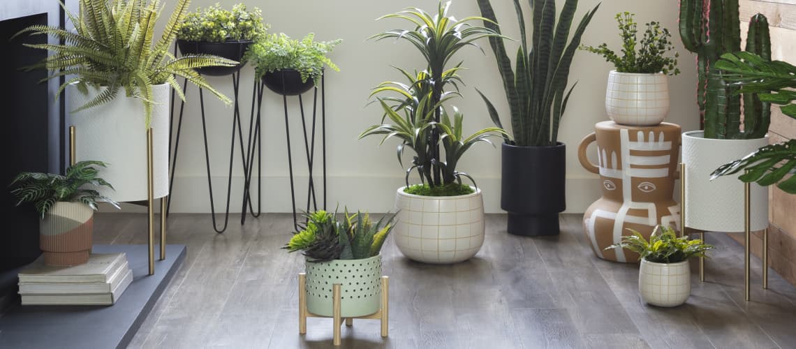 gifts for plant lovers