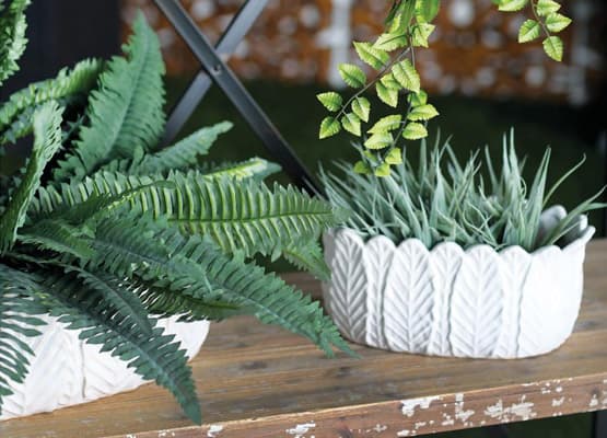 winter container garden planters