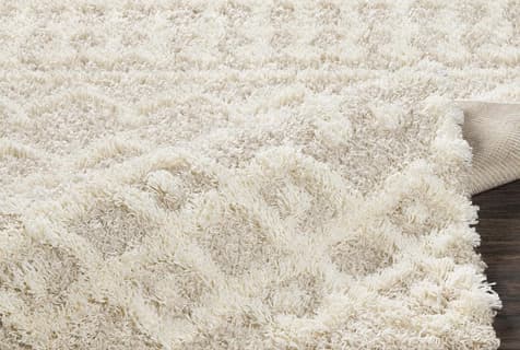 how_to_clean_a_white_shag_rug