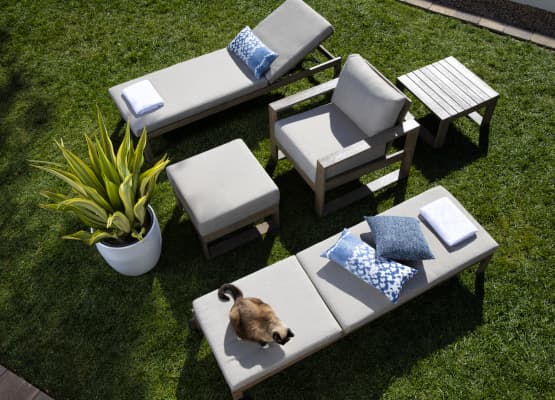 modern backyard ideas no grass