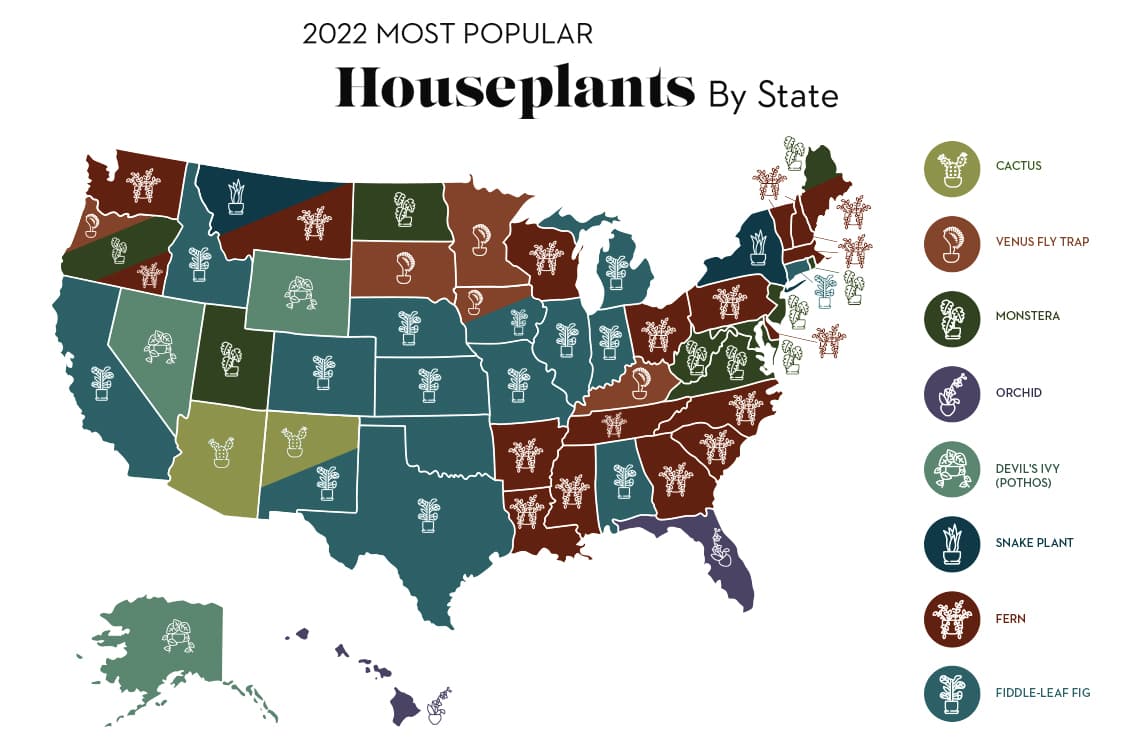 decor plant trends map