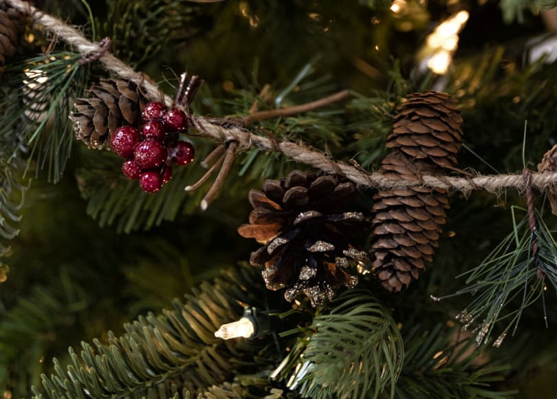 sparkling pinecones