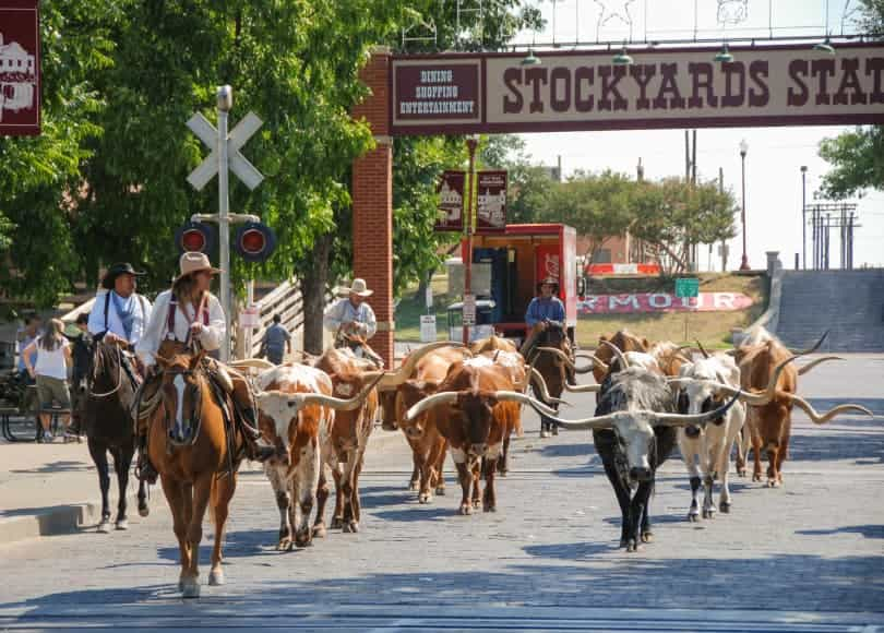 the stockyards