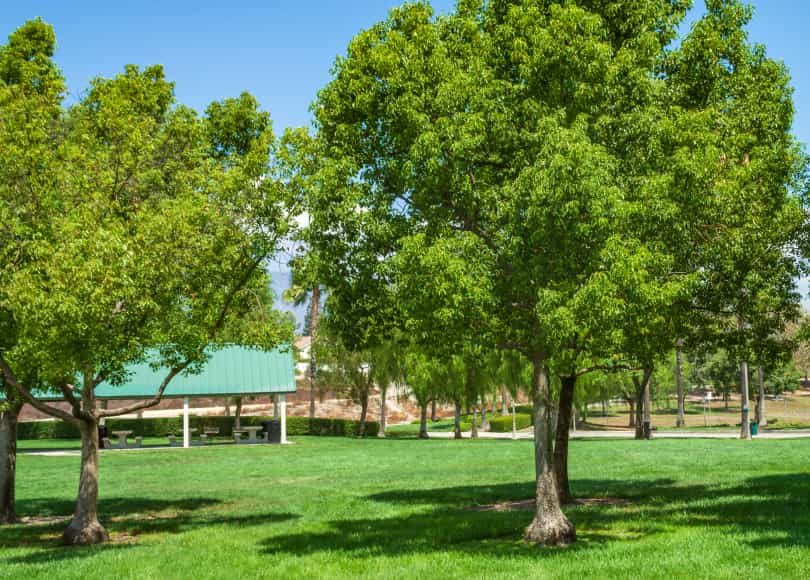 rancho cucamonga regional park