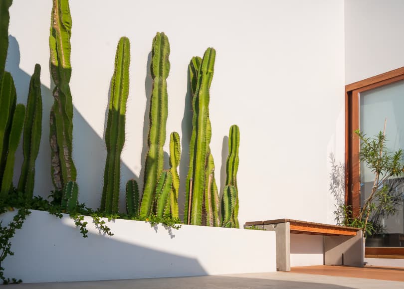 concrete planters