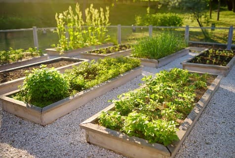 edible garden outdoor trend 2023