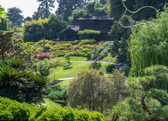 library museum garden