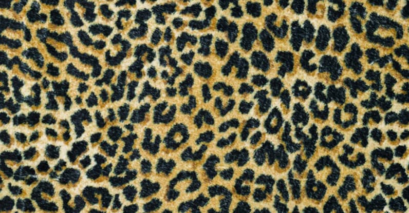 animal print statement maker