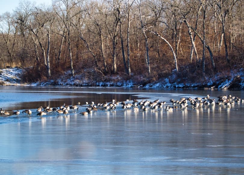 lake lenexa