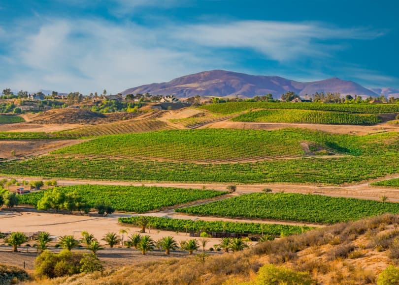 temecula