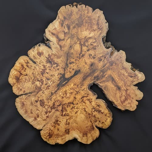 Elm Burl