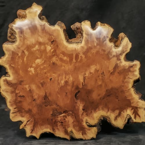 Maple Burl