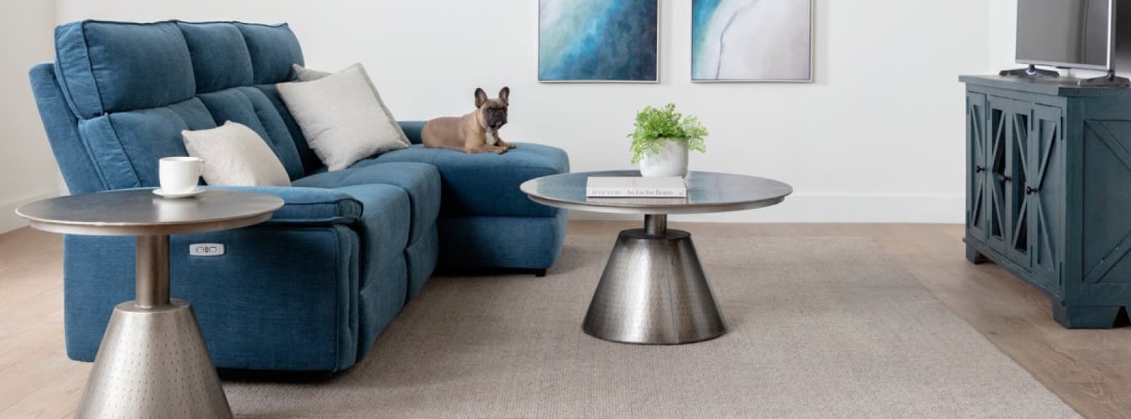 best rugs for dogs