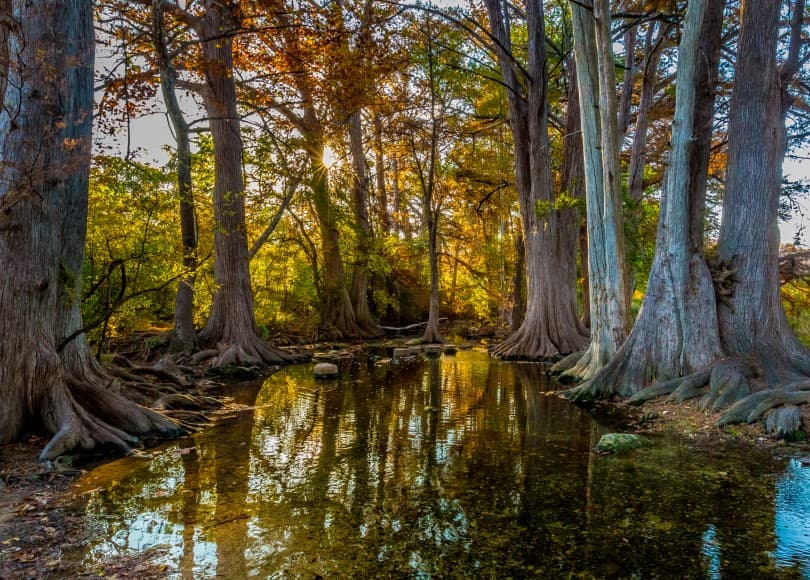 things to do in cibolo tx creek park